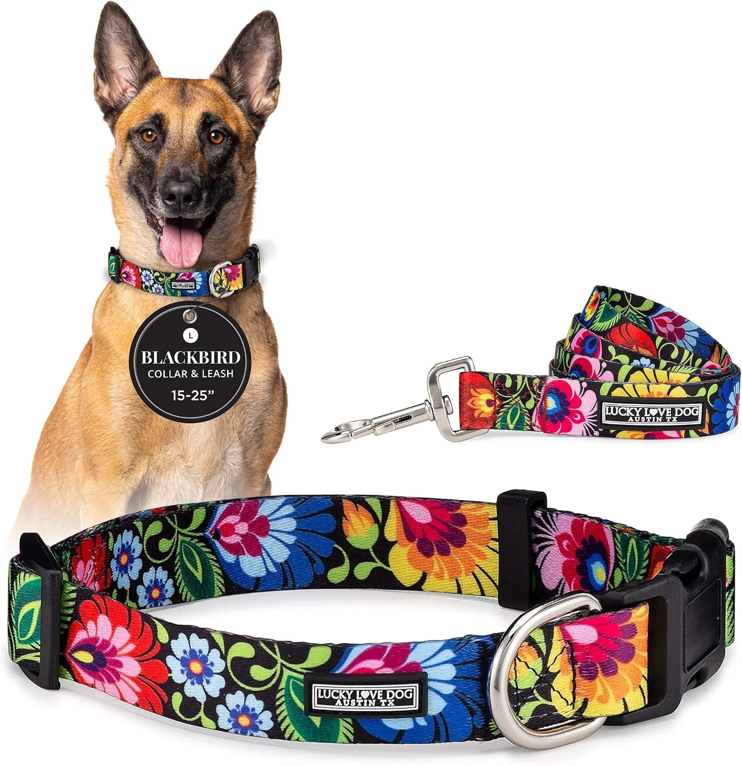 Collar y correa para perros grandes Lucky Love Dog Blackbird talla L
