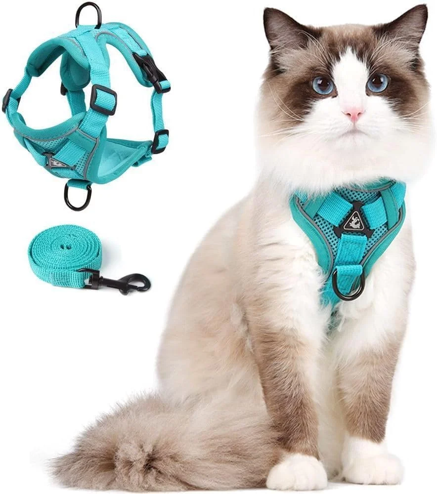 Arnés y correa para gatos Skmeditec talla M verde esmeralda