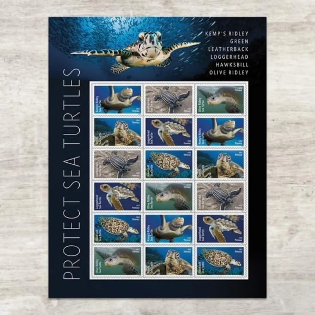 Protect Sea Turtles 2024 (5 Sheets of 18) Commemorative First-Class Mail Forever Postage Stamps