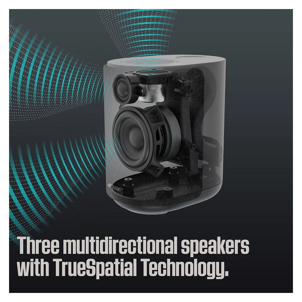 Bose Lifestyle Ultra Speaker - Black