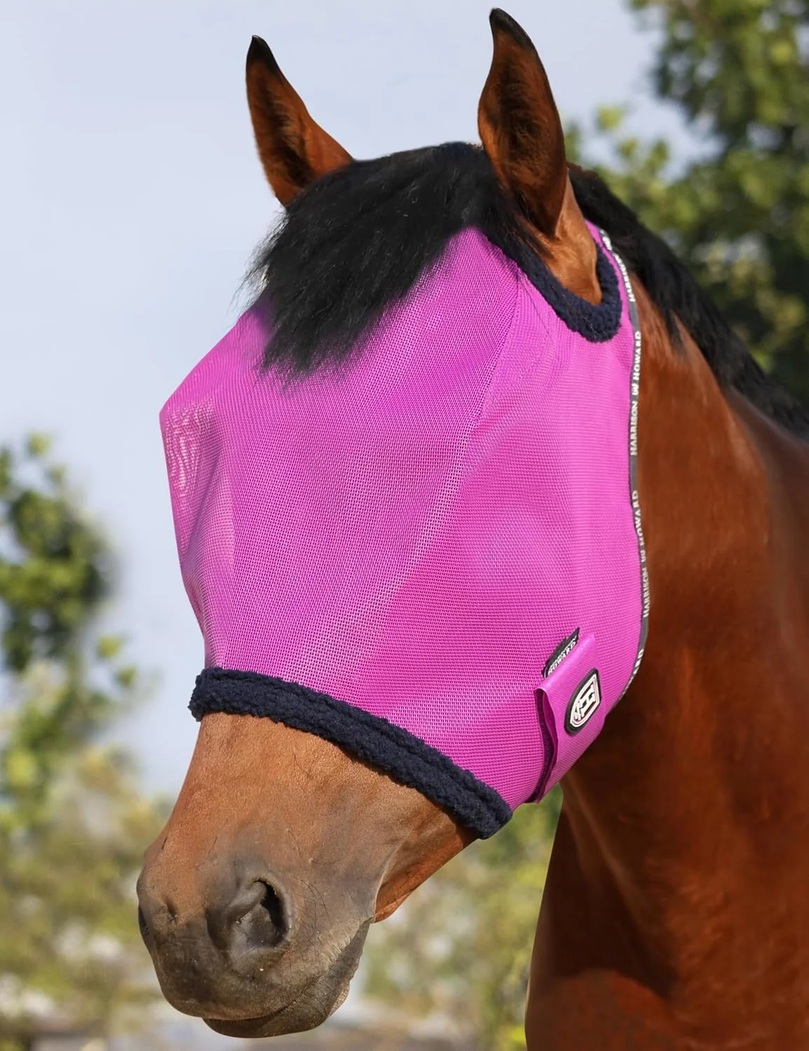 Cabestro para caballo Harrison Howard All Round Mesh UV Protective con borde acolchado talla M púrpura