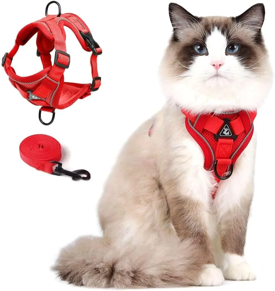 Arnés y correa para gatos Skmeditec talla M rojo