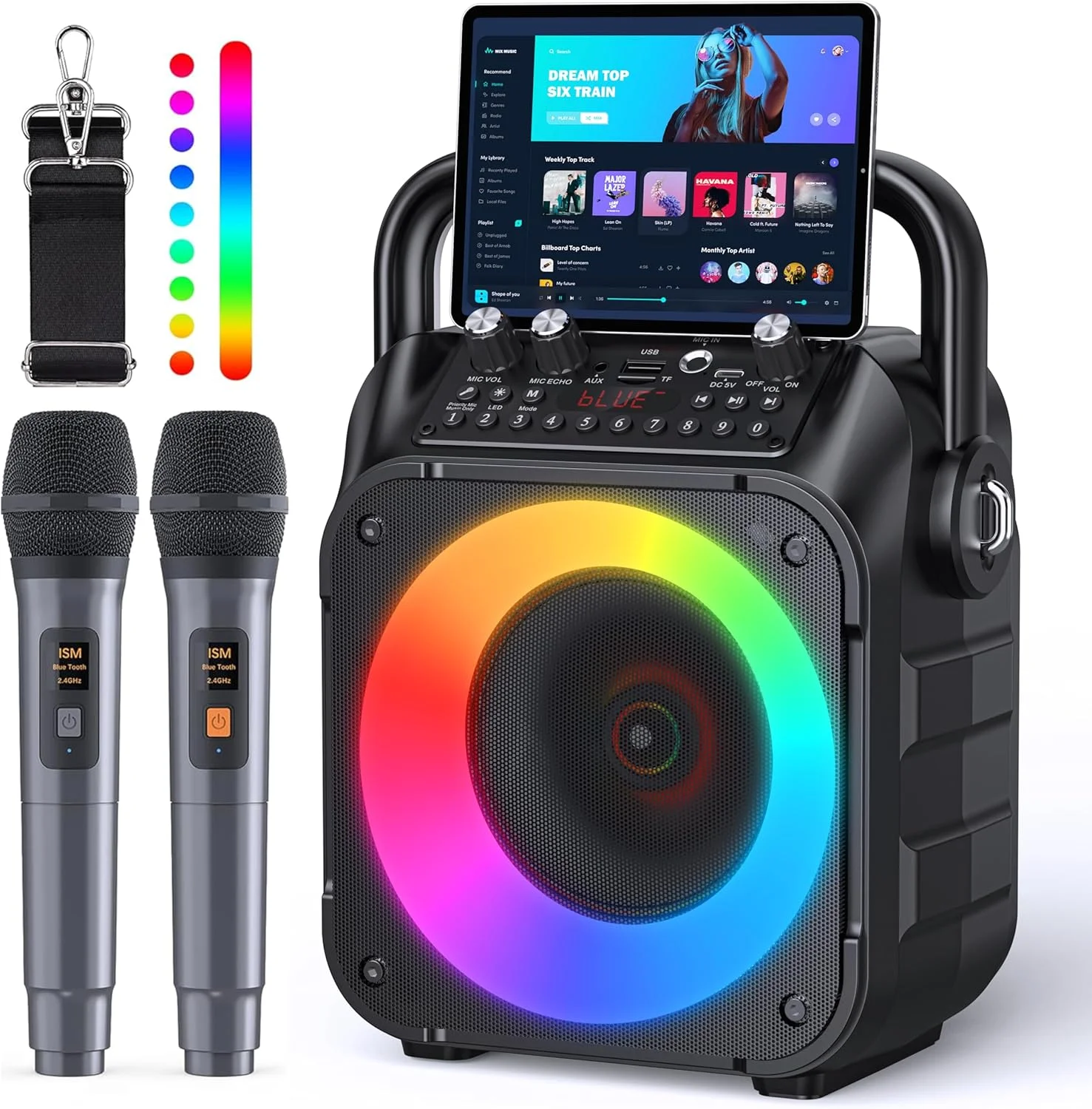 CYY Karaoke Machine, Portable Bluetooth Speaker with 2 Wireless Microphones