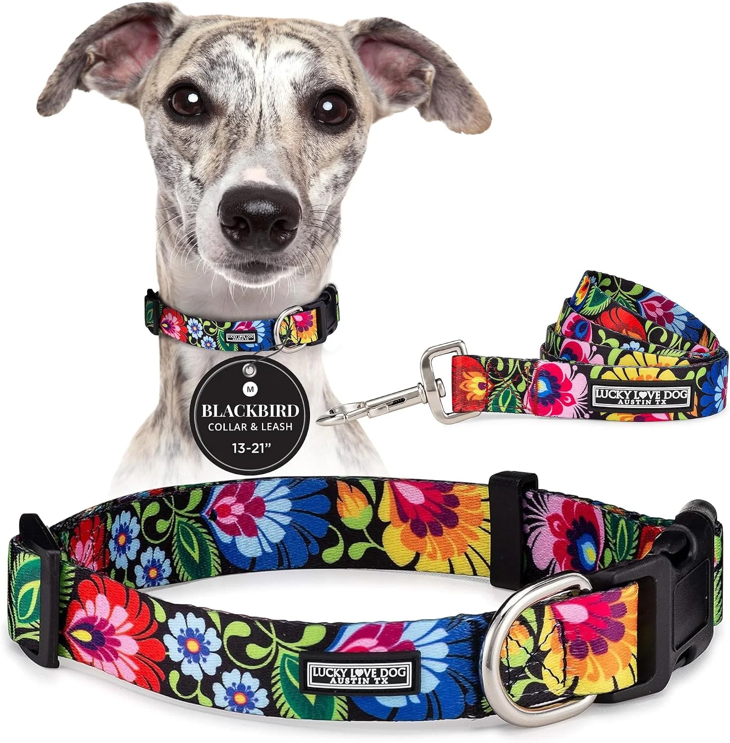 Collar y correa para perros medianos Lucky Love Dog Blackbird