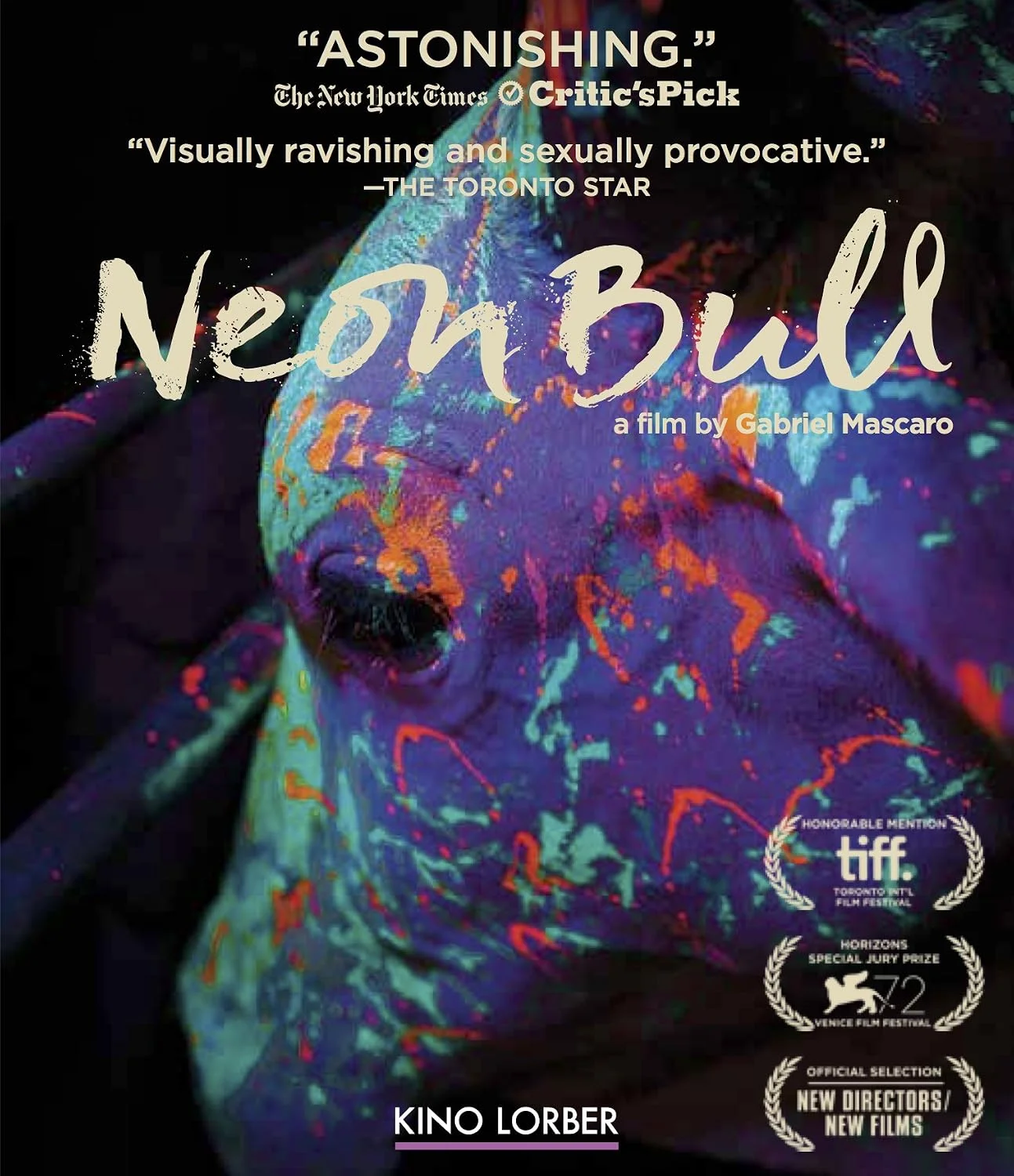 DVD Neon Bull