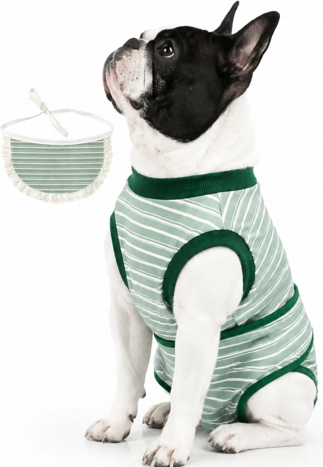 Traje de recuperación quirúrgica para perros YibooAura S+