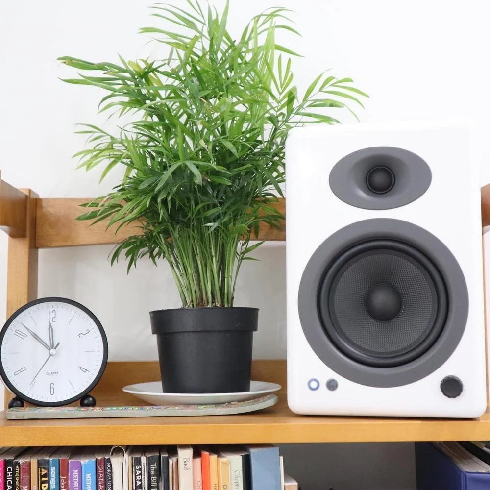 Bocinas de Estantería Amplificadas Audioengine A5+ para Música, Juegos, Turntables y Teatro en Casa
