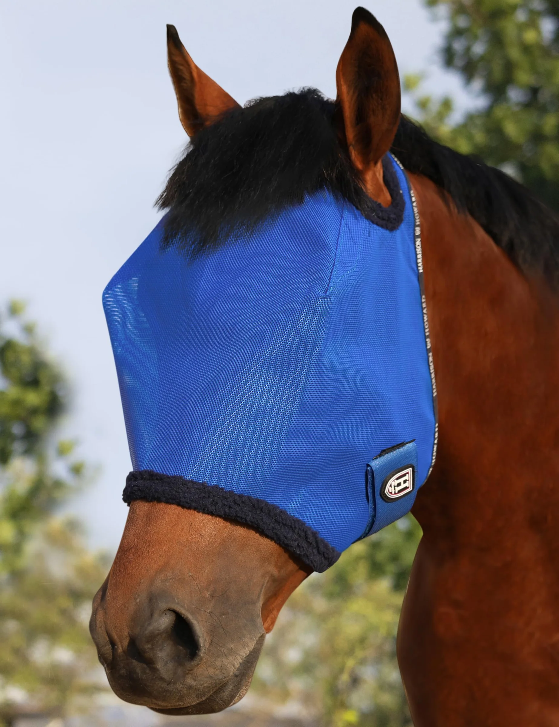 Cabestro para caballo Harrison Howard malla protección UV talla M azul