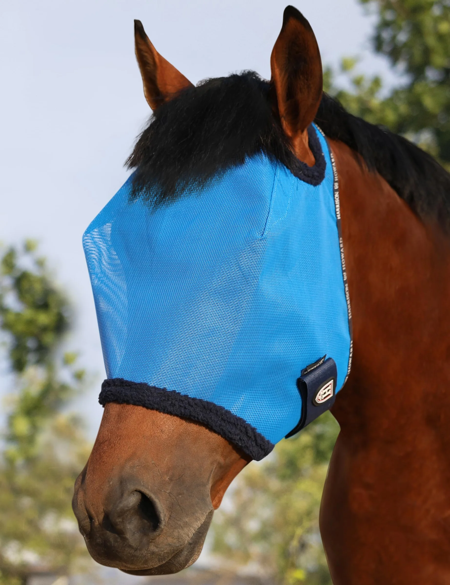 Cabestro para caballo Harrison Howard malla protección UV borde felpa azul cielo talla L