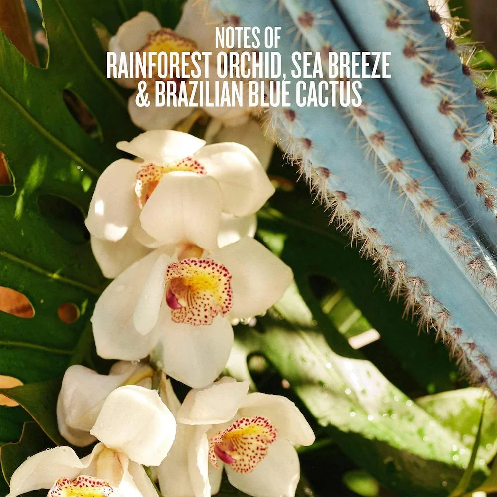 Refresco Paraíso Hair & Body Perfume Mist
