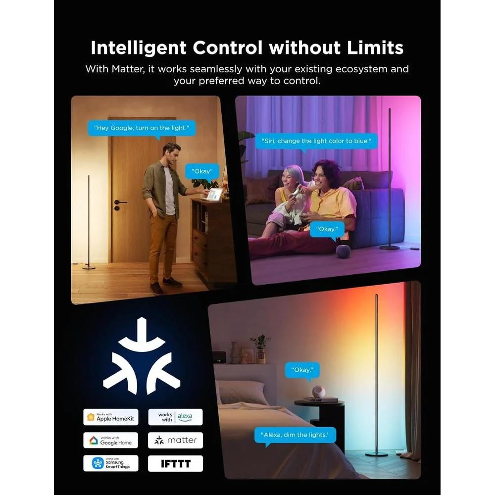 Lámpara de pie básica Govee RGBIC, compatible con Alexa, LED con control de voz y cambio de color, paquete de 2