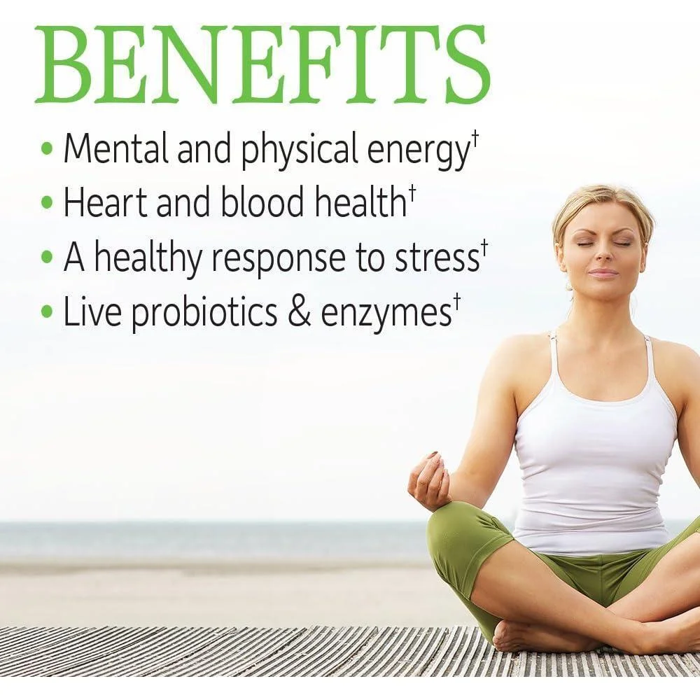 Garden of Life Complejo de vitamina B, 120 cápsulas veganas con probióticos, alta potencia B6, folato y B12 para energía