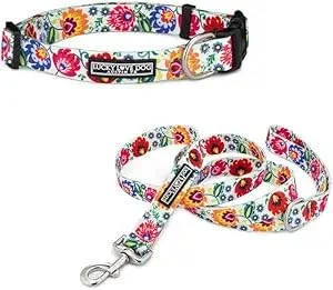 Collar y correa para perros grandes Lucky Love Dog Ladybird